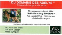 Elevage de bergers allemands Eyragues Domaine des Adelys