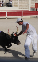 raseteur